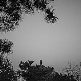 《电锯甜心RePOP》Switch版将推出帧率优化补丁 上线时间待定